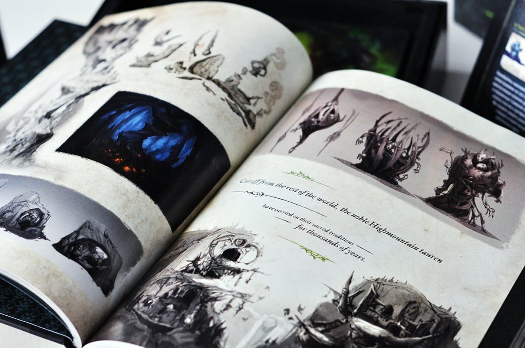 Распаковка коллекционного издания World of Warcraft: Legion. С котом! - Изображение 11 Распаковка коллекционного издания World of Warcraft: Legion. С котом! - Изображение 11