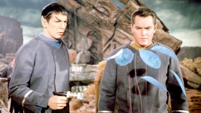 На авторов фанатского Star Trek подали в суд за клингонский язык - Изображение 1 На авторов фанатского Star Trek подали в суд за клингонский язык - Изображение 1