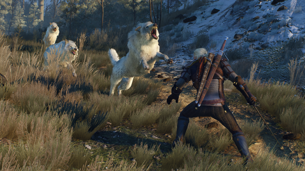 Обзор The Witcher 3: Wild Hunt - рецензия на игру The Witcher 3: Wild Hunt | Рецензии | Канобу Обзор The Witcher 3: Wild Hunt - рецензия на игру The Witcher 3: Wild Hunt | Рецензии | Канобу