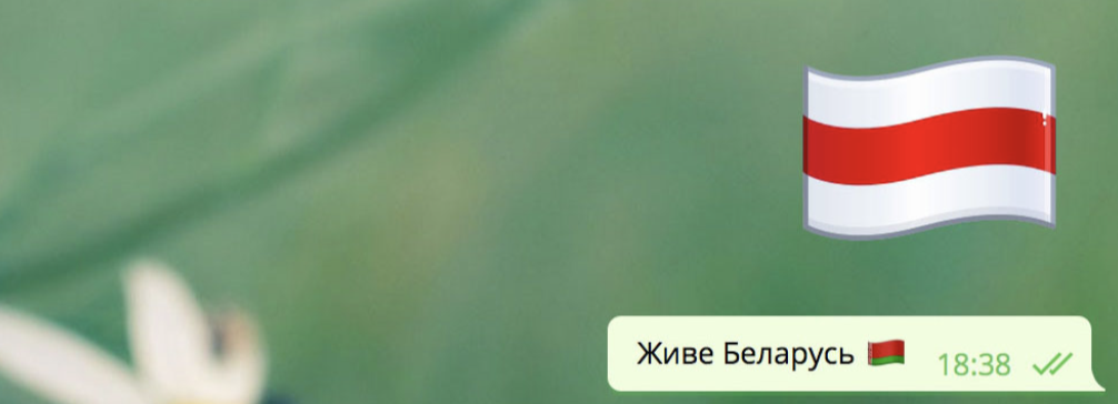 Telegram встал на сторону протестующих. Мессенджер меняет флаг Беларуси на бело-красно-белое полотно | Канобу - Изображение 229